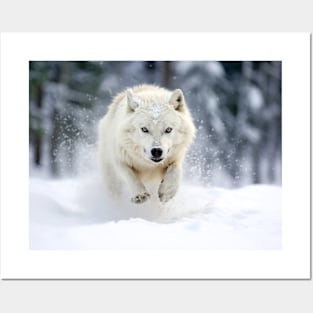 Wolf Animal Nature Majestic Wilderness Posters and Art